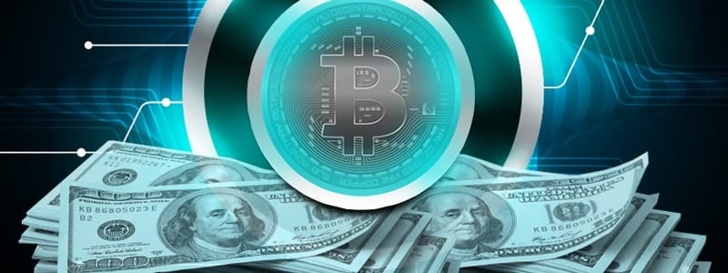 Criptomoneda  Bitcoin Cash y su características
