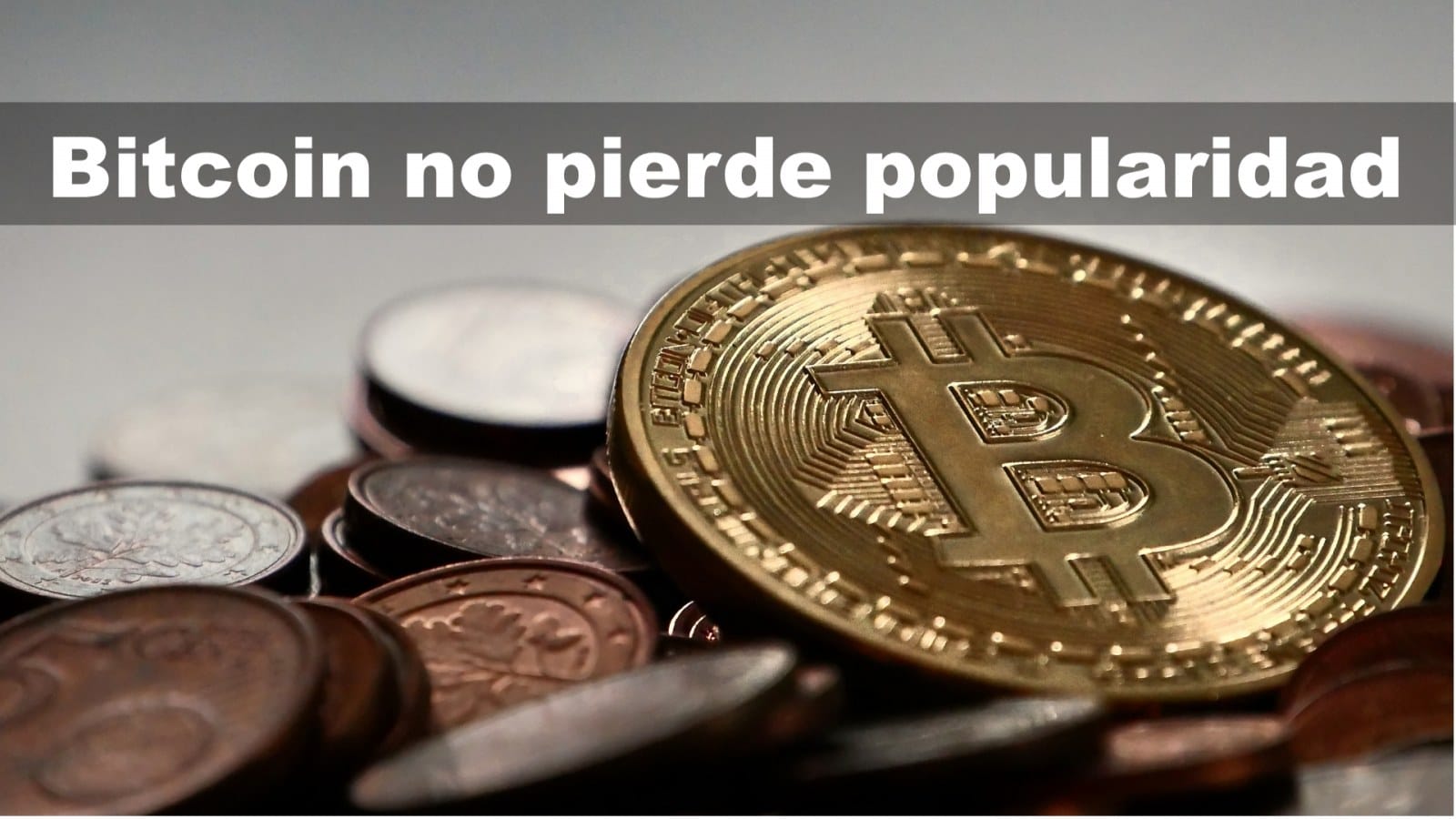 Bitcoin no pierde popularidad.Cripto-mineria.com